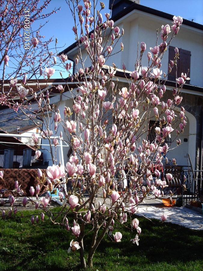 B&B Le Rondini Cassanesi 외부 사진